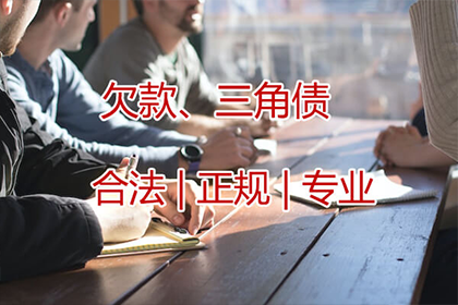 担保人面临借款人欠款未还时的法律途径